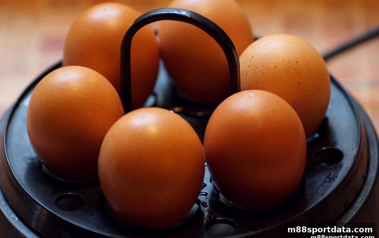 明陞m88体育带你揭秘：Habanero如何颠覆游戏连线效率的底层逻辑