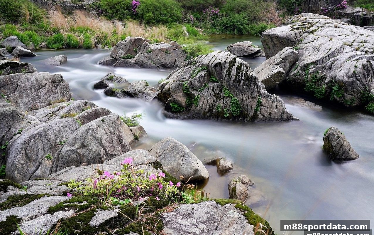明陞m88体育：足球与LOL赛事直播的沉浸新纪元——高清技术、互动玩法与智能推荐