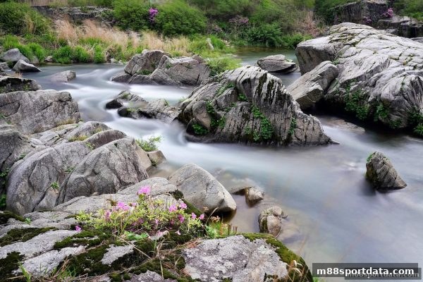 明陞m88体育：足球与LOL赛事直播的沉浸新纪元——高清技术、互动玩法与智能推荐